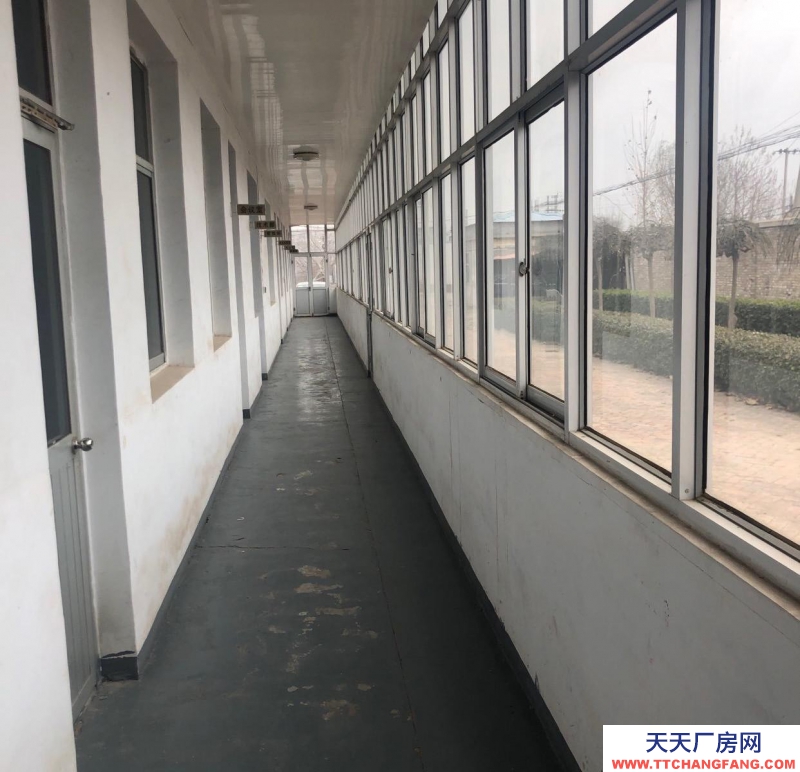 衡水 景縣(食用動(dòng)物油脂廠房 出租) 交通便利，水電齊全，工業(yè)用地，有環(huán)評(píng)。