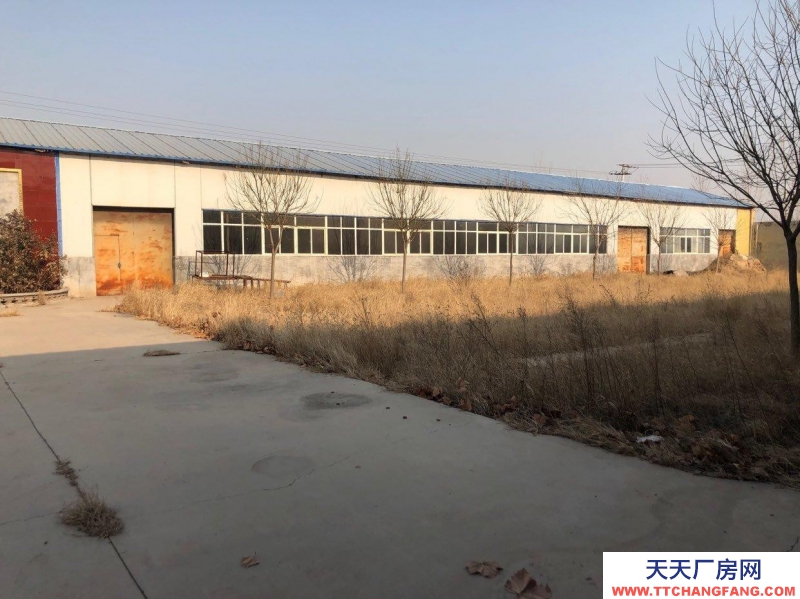 衡水 景縣 (發(fā)酵灌制品廠房 出售) 交通便利 水電齊全 工業(yè)用地 有環(huán)評(píng)