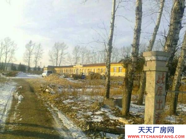 樺南佳木斯孟家崗木材加工廠房出租出售