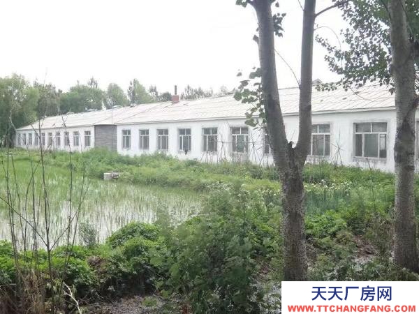 湯原出租 梧桐河場部附近養豬場 四棟豬舍