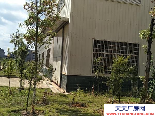 贛州市瑞金機加工廠房  瑞金經開區323國道邊 廠房 1300平米