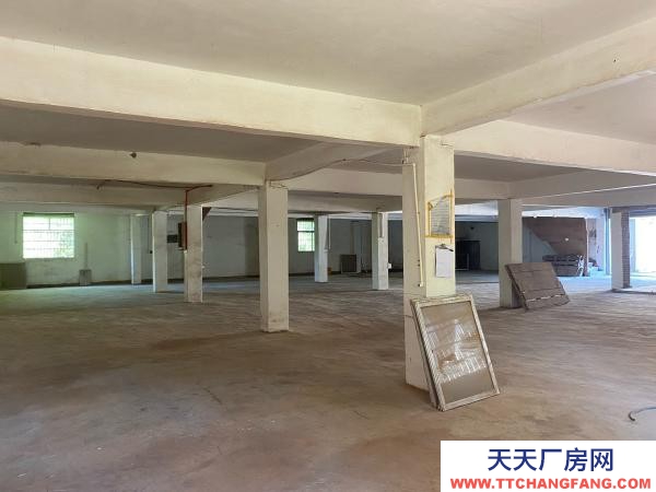 贛州市瑞金家具廠 廠房倉庫出租，沙子崗石井保障房