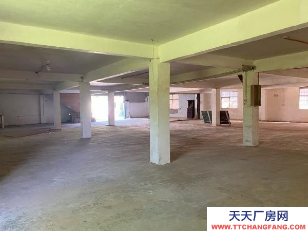 贛州市瑞金家具廠 廠房倉庫出租，沙子崗石井保障房