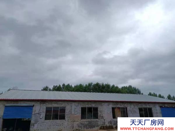 東安西十一江橋，過興隆小橋去海浪村方向，500米，道北 養殖廠房