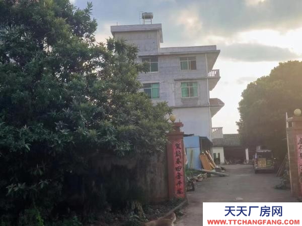 贛州市信豐機(jī)加工廠房  交通便利，臨近國道，