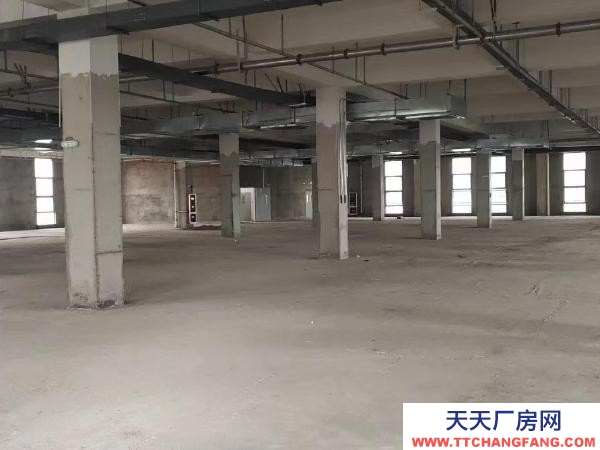 贛州市信豐調(diào)味品廠房  出租信豐高標準廠房適用于電商直播加工辦公倉儲