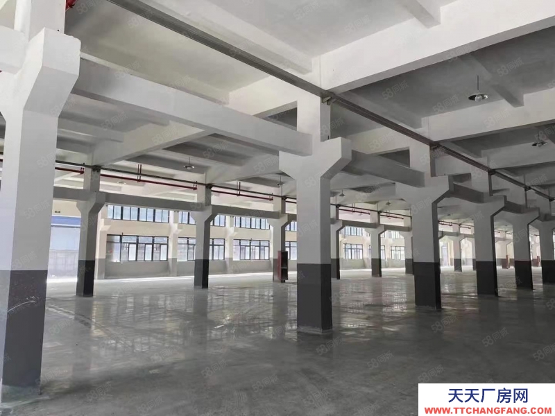 臺州市三門(出租) 出租三門濱海新城多層廠房14300平方另外可加單層3500平 紡織，服裝