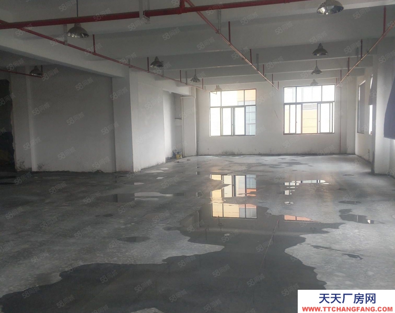 臺州市三門(出售) 三門三角塘28畝廠房，建筑面積6000平方出售，誠心出售 食糖