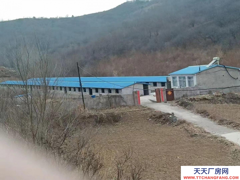承德 承德縣(出售) 兩排養殖場，一套住房