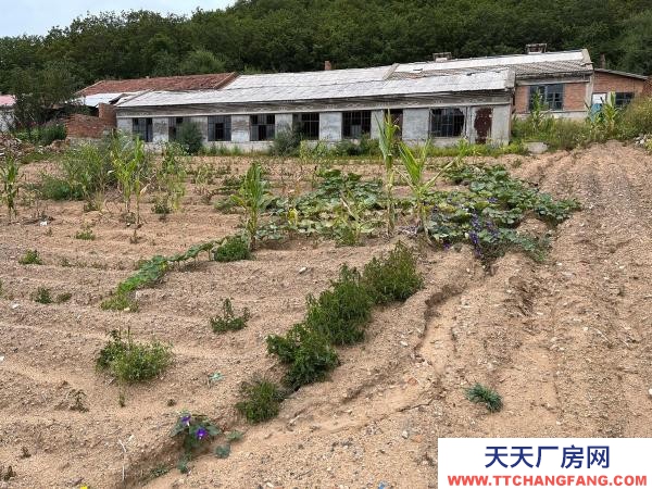 陽明吉房出售 出售房屋 房屋出售 出租房屋 出租農(nóng)村雞舍豬舍