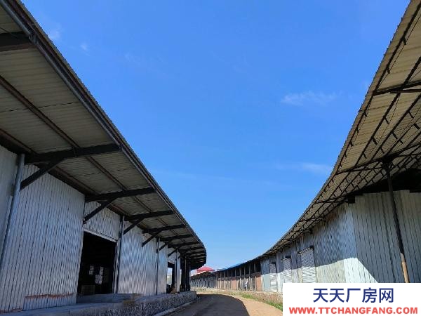 愛民出租標(biāo)準(zhǔn)庫房、場地、站臺庫房