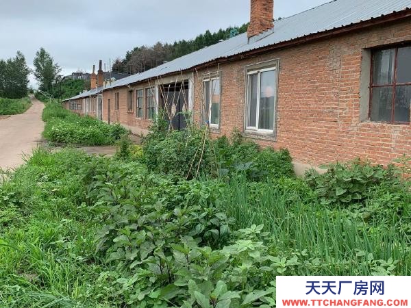 西安大型養(yǎng)殖場養(yǎng)雞場（可做廠房）誠意出售