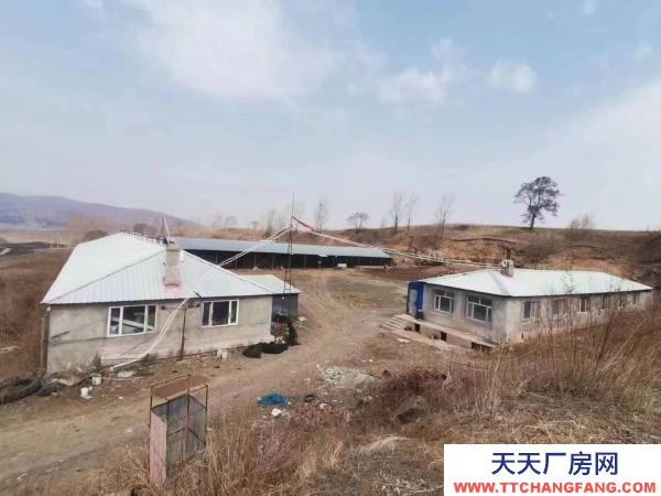 西安現(xiàn)有牡丹江周邊木材加工廠房出售