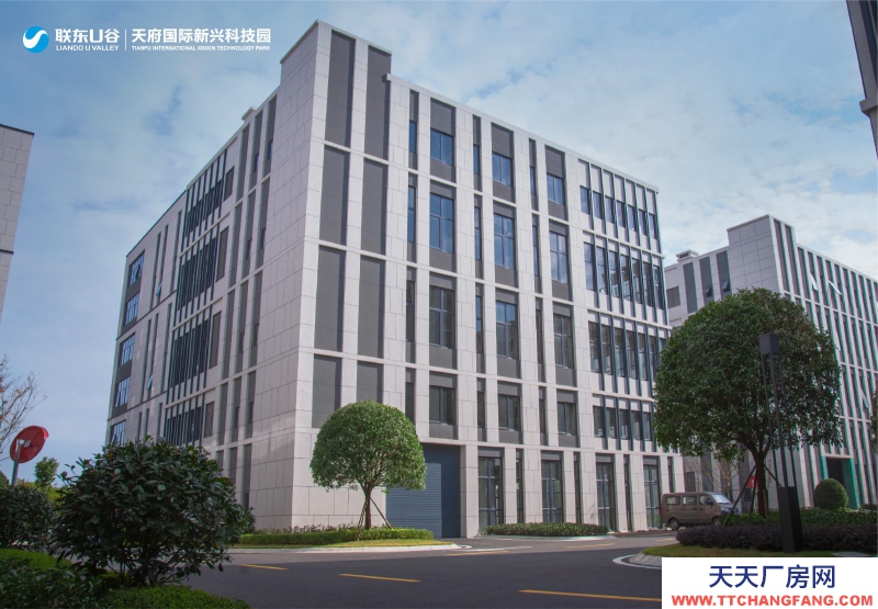 天府新區(qū)視高S5號(hào)線(xiàn)旁 50年產(chǎn)權(quán)廠房招商 1100平起獨(dú)棟 贈(zèng)送面積大 得房率最高120%