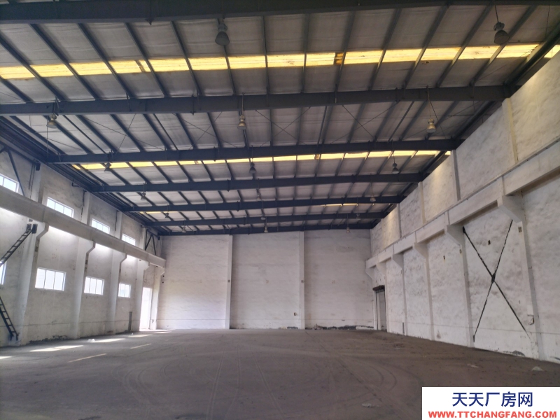 1000㎡起租 配套齊全 臨高速過道 獨門獨院戶型