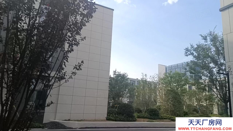 (出租) 徐州銅山高標準廠房500~5000平可分割適合加工制造展廳等