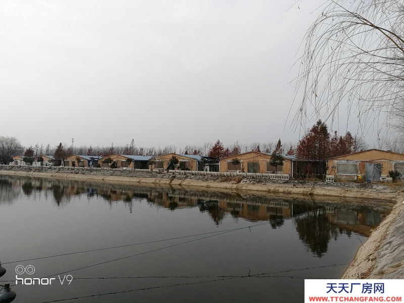 (出租) 徐州睢寧睢城街道吊橋社區梨園豬場適合養殖