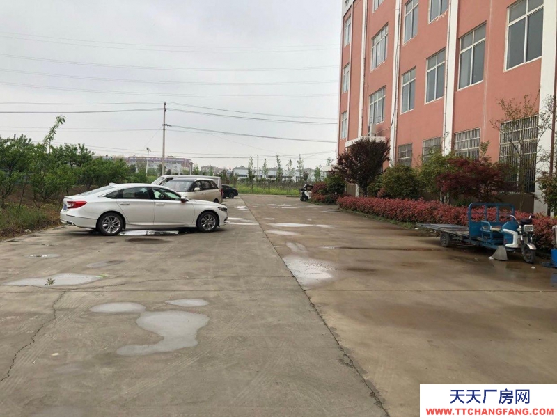 (出租) 徐州睢寧適合辦公樓，直播間，倉庫等