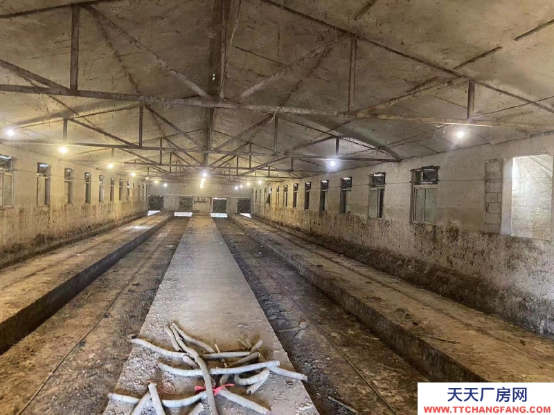 (出租) 徐州邳州宿羊山廠房出租區適合養殖