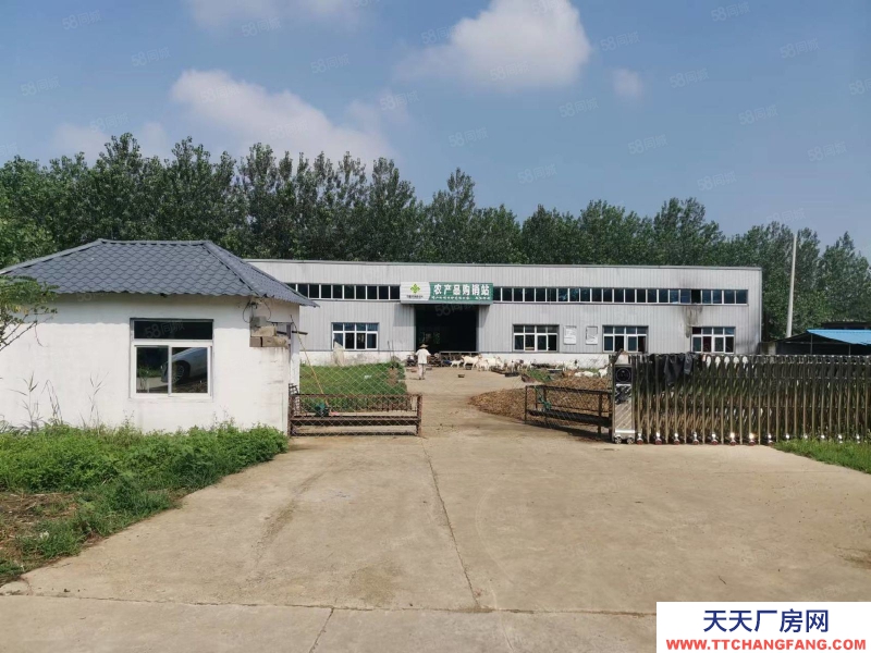 (出租) 徐州邳州四戶鎮馬路旁標準廠房出租適合機械加工