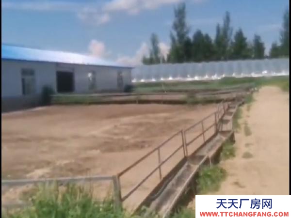 寧安養殖場對外轉讓