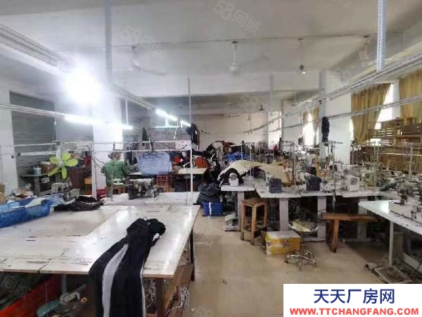 贛州市于都金制衣廠 于都工業園興樂路廠房出租 可用于辦公 培訓工作室 交通便利