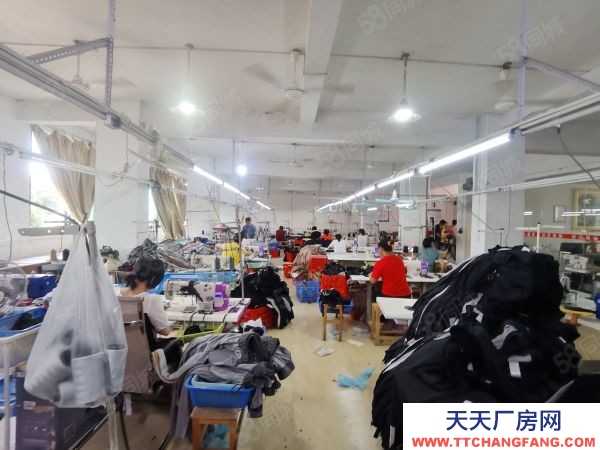 贛州市于都金制衣廠 于都工業(yè)園興樂路廠房出租 可用于辦公 培訓(xùn)工作室 交通便利