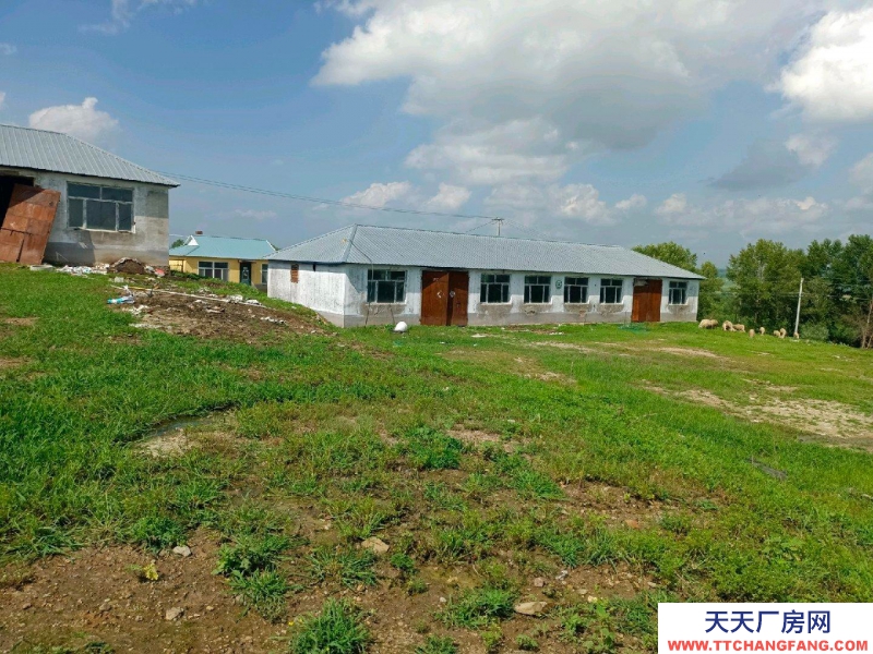 (出售)呼倫貝爾 養(yǎng)殖場(chǎng)出租出售,院內(nèi)面積1.2萬㎡,可養(yǎng)殖豬牛羊,