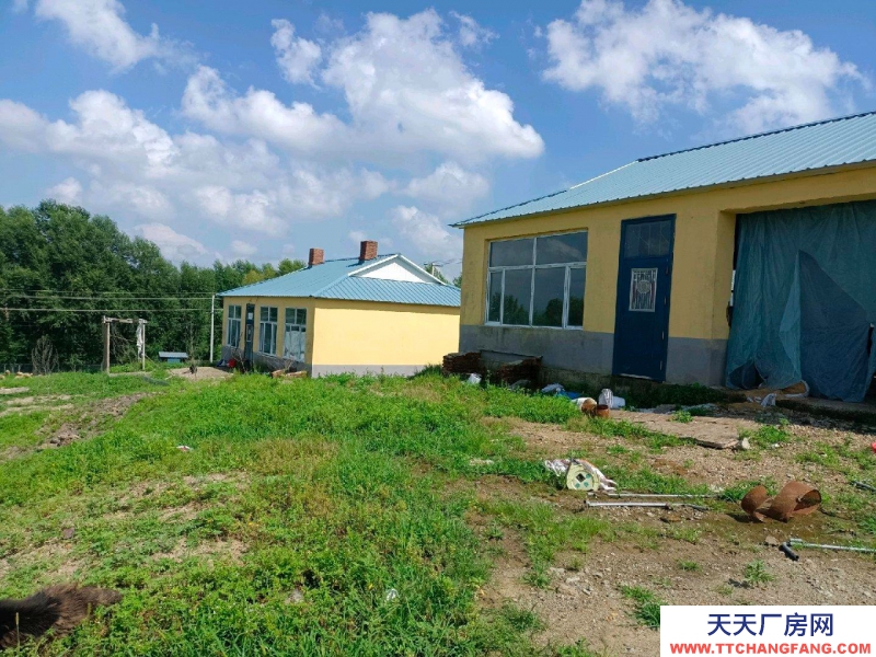 (出售)呼倫貝爾 養(yǎng)殖場出租出售，院內(nèi)面積1.2萬㎡，可養(yǎng)殖豬牛羊，