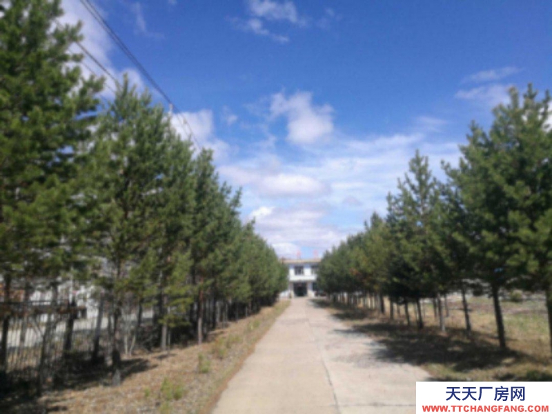 (出租) 出租出售根河市滿歸鎮(zhèn)華茂大院