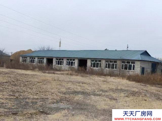 (出售) 阿榮旗出租出售，廠房6棟，住宅一棟，宿舍一棟