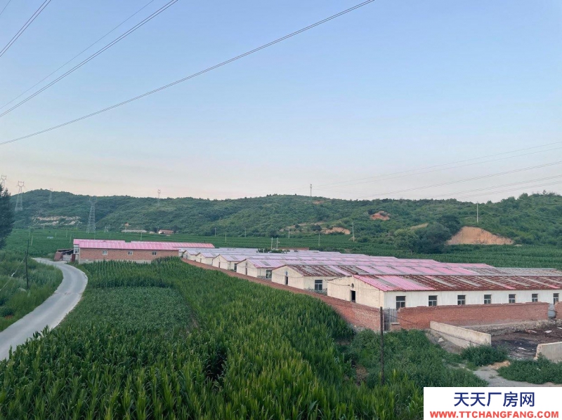 承德 灤平(出租) 豬養殖場 可租可售 證件齊全