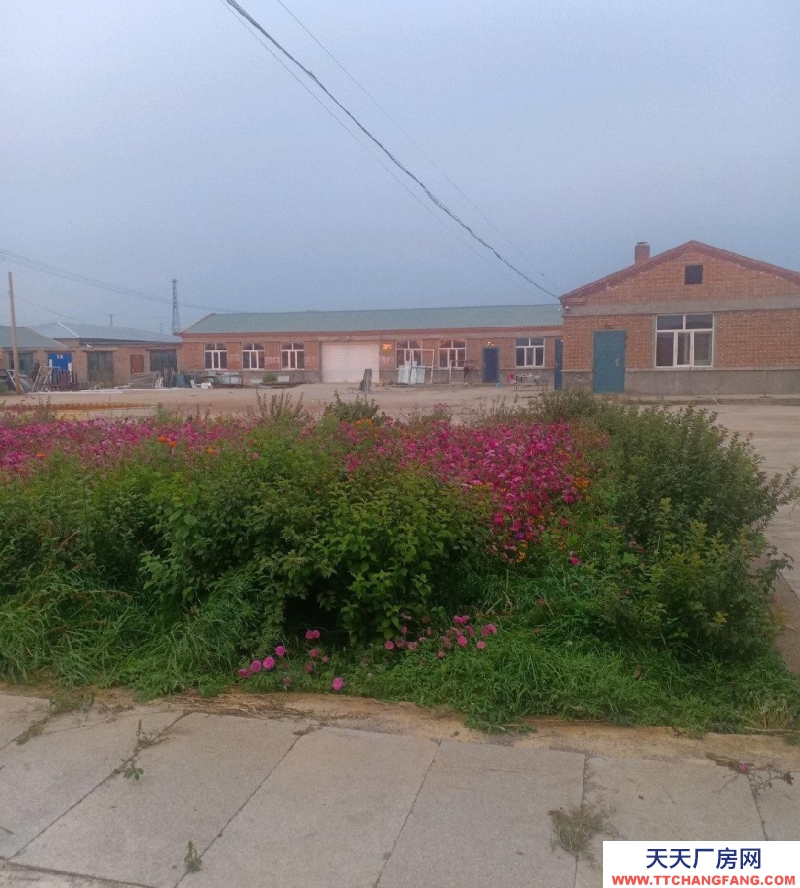 (出售) 呼倫貝爾養殖場院面積近6000平房屋1200平