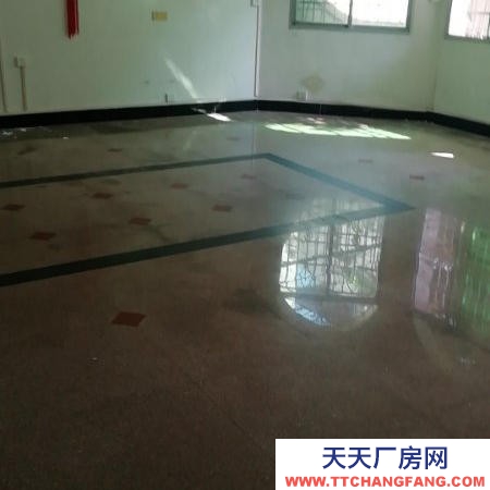 贛州市上猶機加工廠房 上猶縣東山鎮(zhèn)東門口整棟1-2層出租帶前后大院