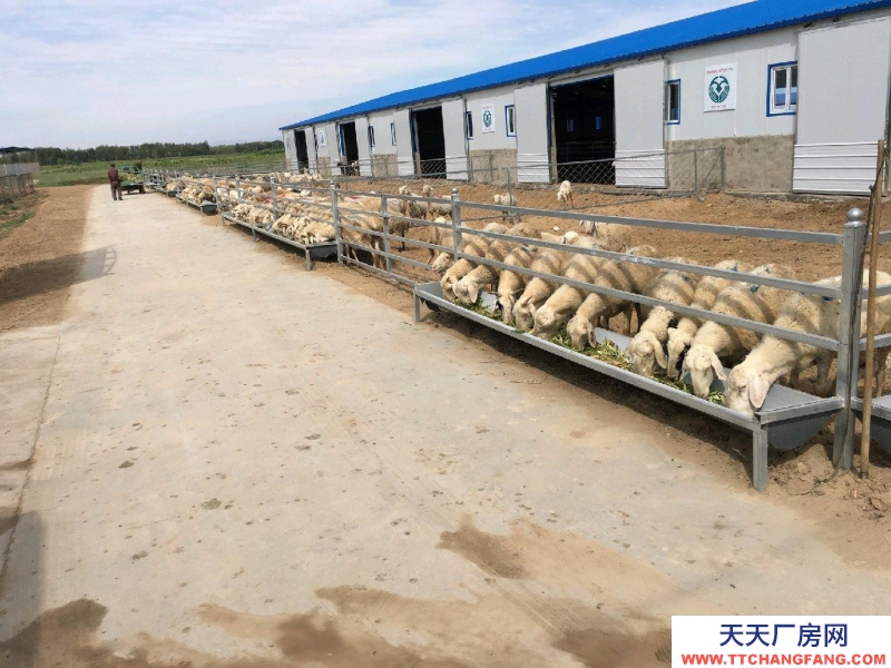 (出租) 巴彥淖爾暖棚圈1500平庫房800平彩鋼棚4500平活動場6500平