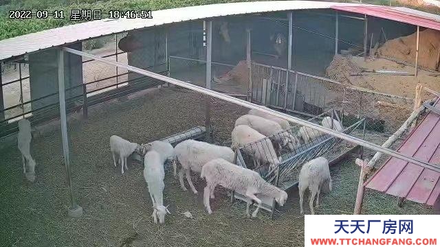 (出租) 五原廠房 蠻克素東500米國(guó)道旁 養(yǎng)殖場(chǎng)