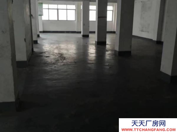 贛州市上猶機加工廠房  上猶縣水南大道經商辦廠底商出租