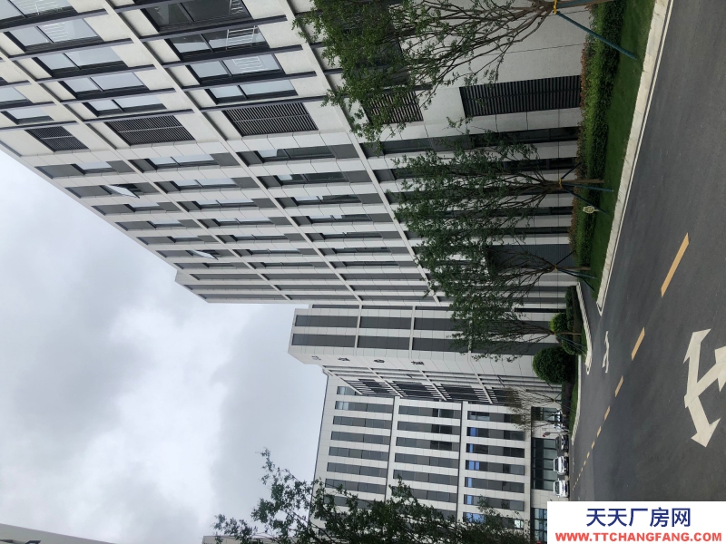 雙流區(qū)全新廠房招商可分割產(chǎn)權(quán)