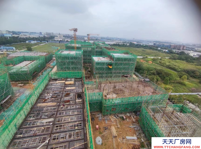 雙流區(qū)全新廠房招商可分割產(chǎn)權(quán)