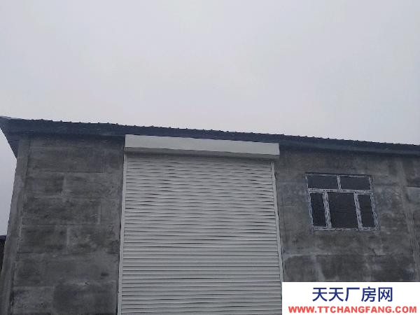 肇東鐵東 倉(cāng)庫(kù) 誠(chéng)心出租