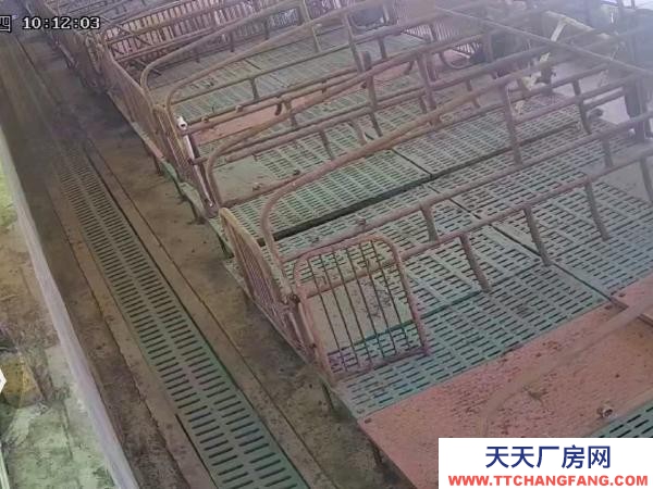 綏棱堅果廠房出售，配套設施及證照齊全，交通方便，靠近公路