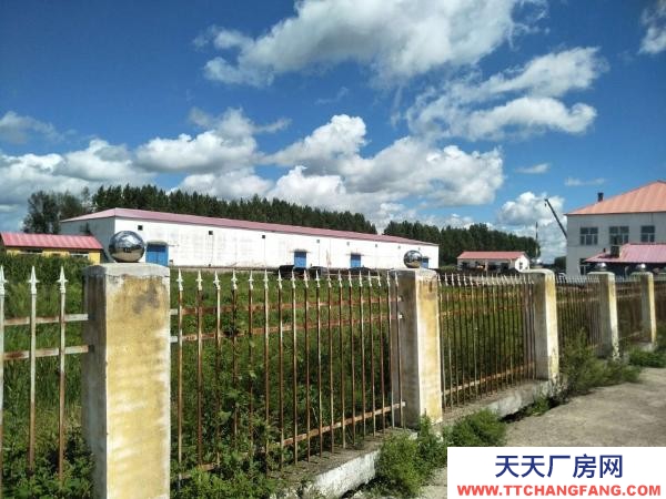 綏棱現有一處糧點對外出賣！