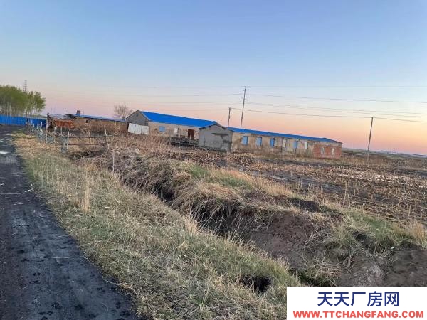 安達西十八里有15000多平！適合養殖！附帶3000多棵樹