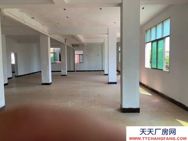 贛州市興國(guó)機(jī)加工廠房 興國(guó)紅門工業(yè)園廠房交通采光好