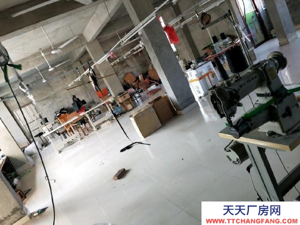 贛州市定南機加工廠房 二樓廠房出租天九鎮