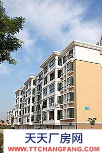 贛州市定南機加工廠房 出租定南濱河路店面一間，有意者私聊