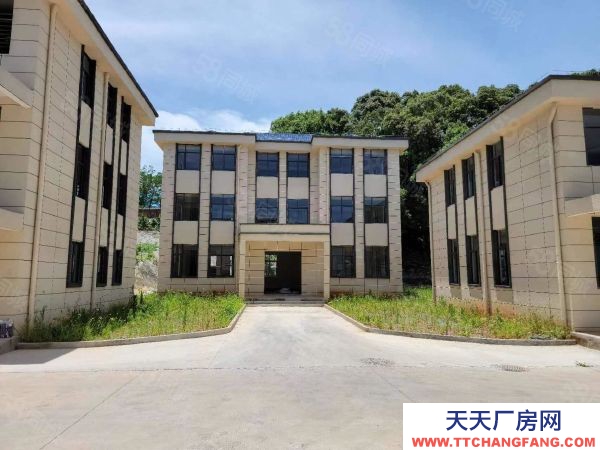 九江市潯陽電子廠房 潯陽區5G物流園500到1000平可分割出租交通方便