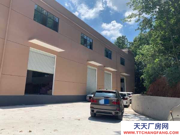 九江市潯陽糕點廠房  出租濱江路廠房，帶電梯，可辦公可做倉庫，價格面議