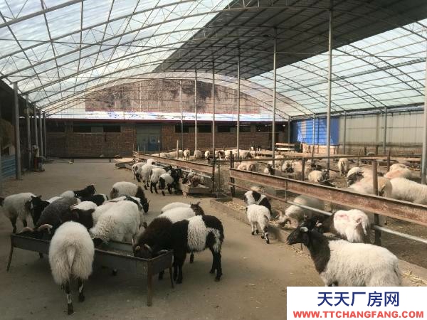 大通養殖很合適，直接用就行