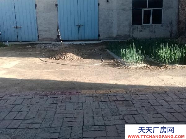 大通獨(dú)院出租共計(jì)1000平米大車(chē)出入方便院內(nèi)光線(xiàn)好